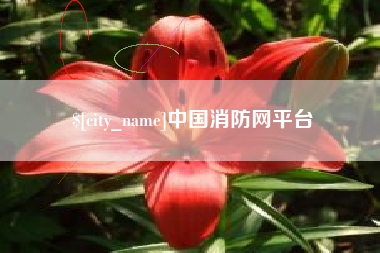 岑溪中国消防网平台