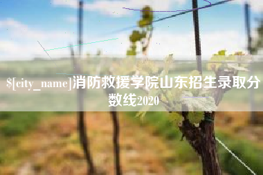 岑溪消防救援学院山东招生录取分数线2020