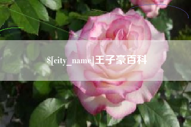 岑溪王子豪百科