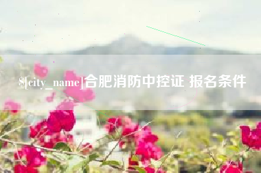 岑溪合肥消防中控证 报名条件