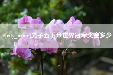 岑溪男子五千米世界冠军奖金多少