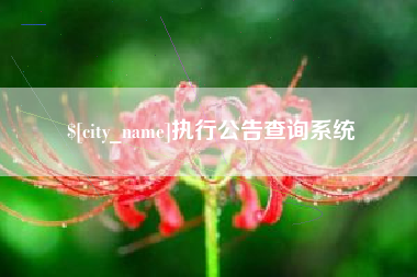 岑溪执行公告查询系统