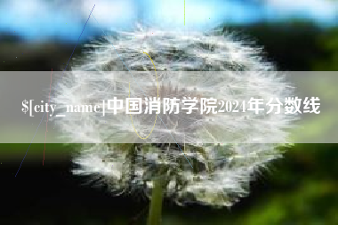 岑溪中国消防学院2024年分数线