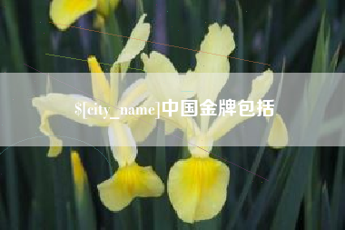 岑溪中国金牌包括