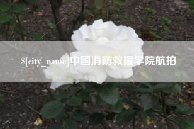 岑溪中国消防救援学院航拍