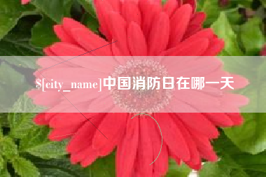 岑溪中国消防日在哪一天
