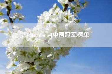 岑溪中国冠军榜单