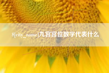 岑溪九宫宫位数字代表什么