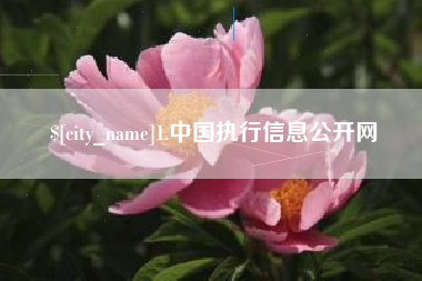 岑溪1.中国执行信息公开网