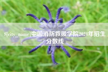 岑溪中国消防救援学院2024年招生分数线