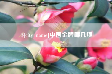岑溪中国金牌哪几项