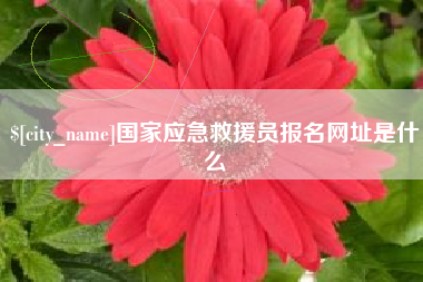 岑溪国家应急救援员报名网址是什么