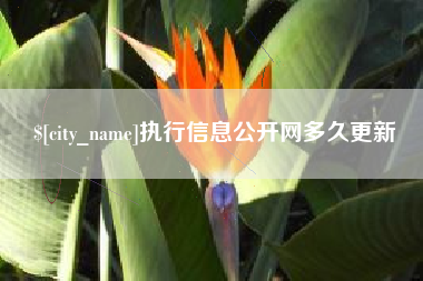 岑溪执行信息公开网多久更新