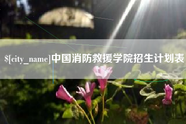 岑溪中国消防救援学院招生计划表