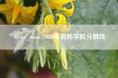 岑溪2020年消防学院分数线