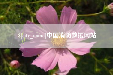 岑溪中国消防救援网站