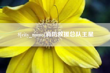 岑溪消防救援总队王星