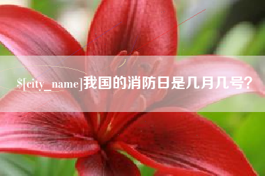 岑溪我国的消防日是几月几号？