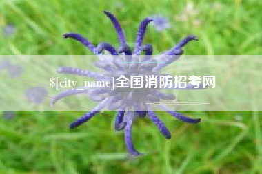 岑溪全国消防招考网