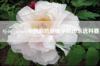 岑溪中国消防救援学院山东选科要求