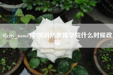 岑溪中国消防救援学院什么时候政审