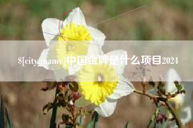 岑溪中国金牌是什么项目2024