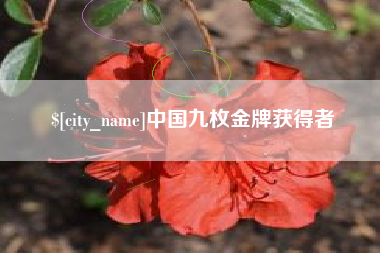 岑溪中国九枚金牌获得者