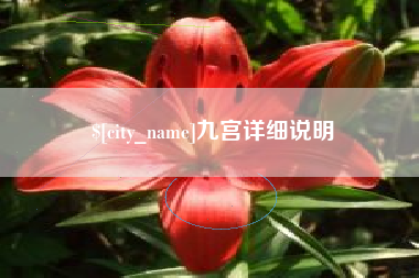 岑溪九宫详细说明