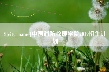 岑溪中国消防救援学院2019招生计划