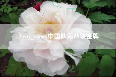 岑溪中国队第八块金牌
