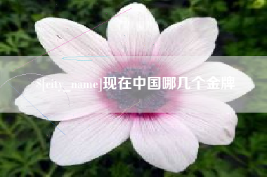 岑溪现在中国哪几个金牌