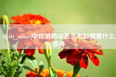 岑溪中控消防证怎么考取需要什么条件