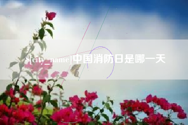 岑溪中国消防日是哪一天