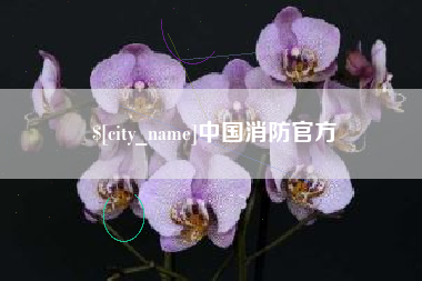岑溪中国消防官方