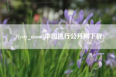 岑溪中国执行公开网下载