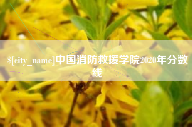 岑溪中国消防救援学院2020年分数线