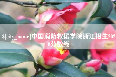 岑溪中国消防救援学院浙江招生2020分数线