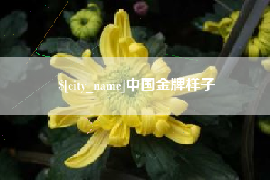 岑溪中国金牌样子