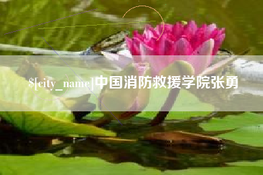 岑溪中国消防救援学院张勇
