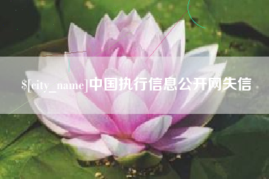 岑溪中国执行信息公开网失信