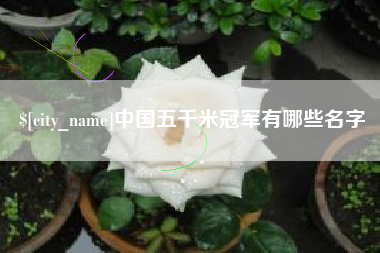 岑溪中国五千米冠军有哪些名字