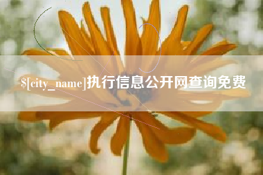 岑溪执行信息公开网查询免费